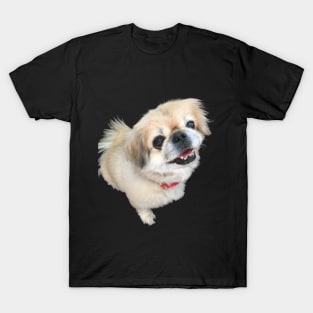 Lucy fur Real - adorable pekingese dog T-Shirt